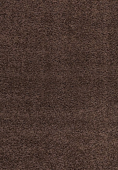 Kusový koberec Dream Shaggy 4000 brown