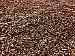 Kusový koberec Dream Shaggy 4000 brown