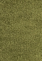Kusový koberec Dream Shaggy 4000 green - 120 x 170 cm