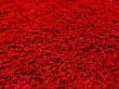Kusový koberec Dream Shaggy 4000 red
