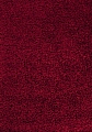 Kusový koberec Dream Shaggy 4000 red - 120 x 170 cm