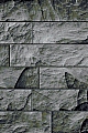 Kusový koberec Parma 9250 black - 120 x 170 cm