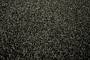 Kusový černý koberec Eton - 160 x 240 cm