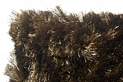 Kusový koberec Singapore 009 bronze - 200 x 300 cm