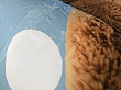 Dětský koberec Ultra Soft Medvídek modrý