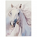 Dětský koberec Torino Kids 235 white horse - 120 x 170 cm