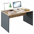 Psací stůl, grafit / dub artisan, RIOMA NEW TYP 11