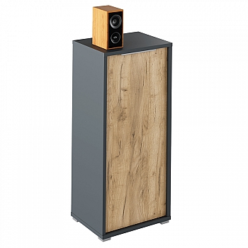 Skříňka, grafit / dub artisan, RIOMA NEW TYP 10
