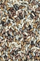 Moderní vlněný kusový koberec B&C Arch 067005 Brink & Campman - 250 x 350