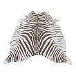 Kusový koberec Etosha 4111 brown