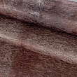 Kusový koberec Etosha 4112 brown