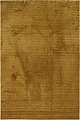 Kusový koberec Labrador 71351-800 gold - 160 x 230 cm