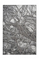 Kusový koberec Marmaris 402 silver