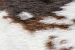 Kusový koberec Rodeo 201 cow