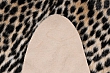 Kusový koberec Rodeo 204 cheetah