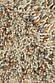 Moderní vlněný kusový koberec B&C Pop Art 066901 Brink & Campman - 160 x 230