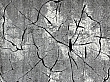 Kusový koberec Miami 0129 grey