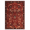Perský vlněný koberec Osta Kashqai 4335/300 červený 200 x 300  Osta - 200 x 300